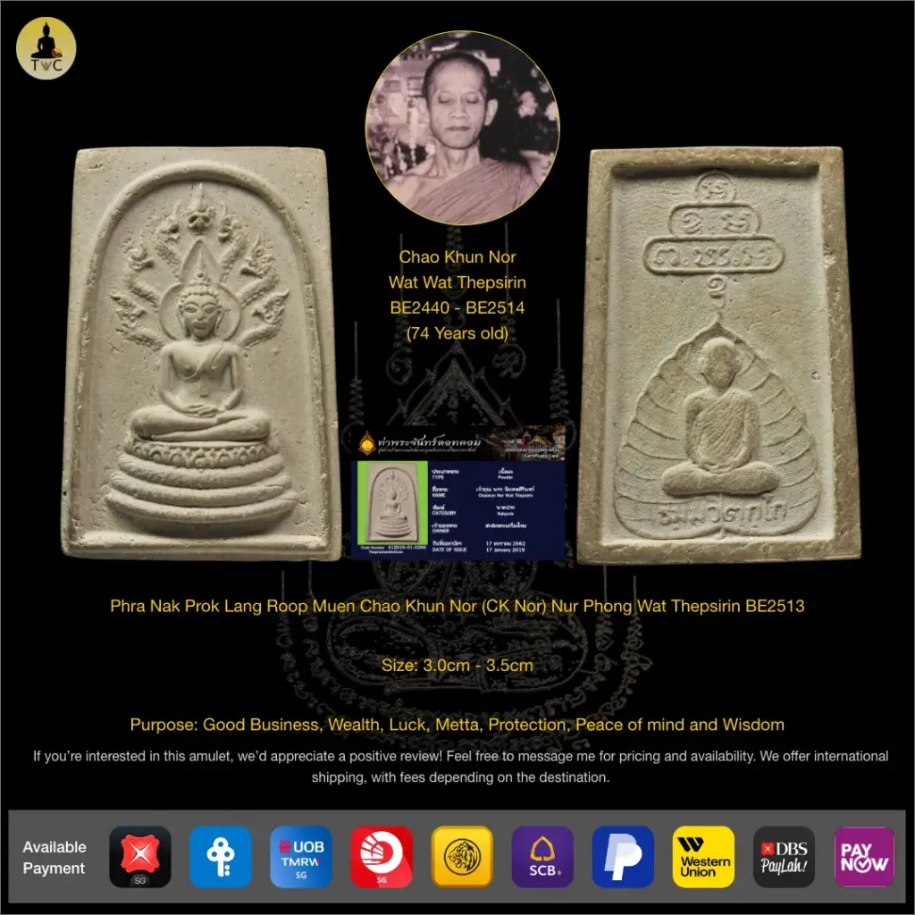 Phra Nak Prok Lang Roop Muen Chao Khun Nor BE2513 Wat Thepsirin Thai amulet