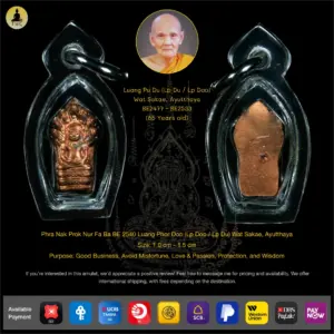 Phra Nak Prok Nur Fa Ba BE 2540 Luang Phor Doo (Lp Doo / Lp Du) Wat Sakae, Ayutthaya