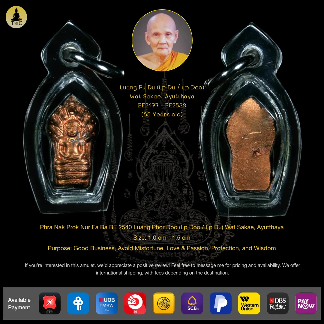 Phra Nak Prok Nur Fa Ba BE 2540 Luang Phor Doo (Lp Doo / Lp Du) Wat Sakae, Ayutthaya