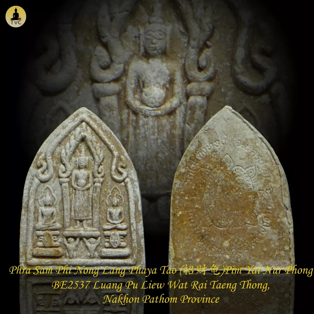 Phra Sam Phi Nong Lang Phaya Tao (招财龟) Pim Yai Nur Phong BE2537 Luang Pu Liew Wat Rai Taeng Thong
