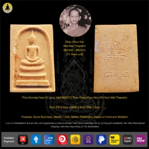 Phra Somdej Nam Oi Lang Yant BE2513 Than Chao Khun Nor (CK Nor) Wat Thepsirin